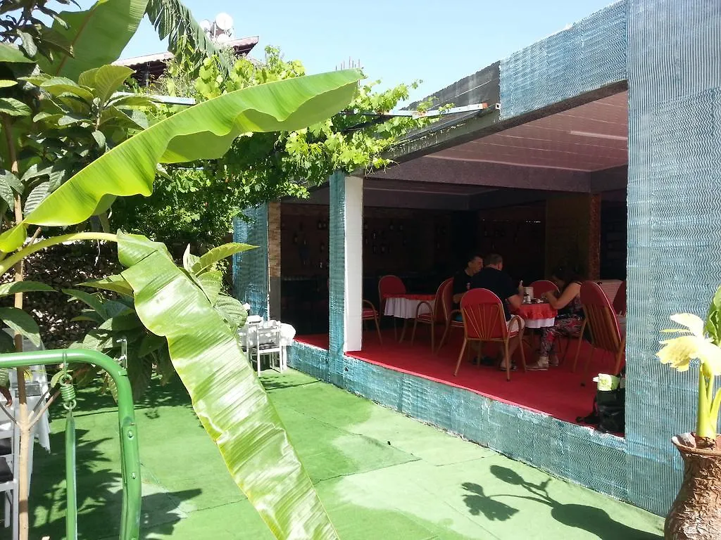 Alis Hotel フェティエ