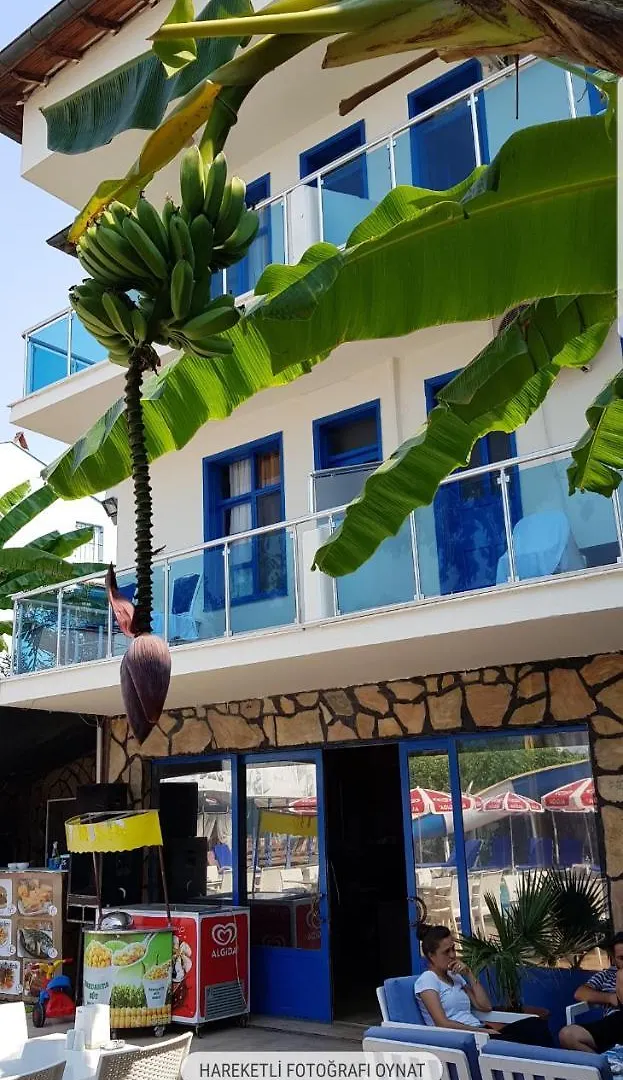 Alis Hotel フェティエ